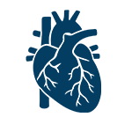 Cardiac Intervention & Surgery
