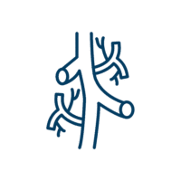 Peripheral Vascular Therapies